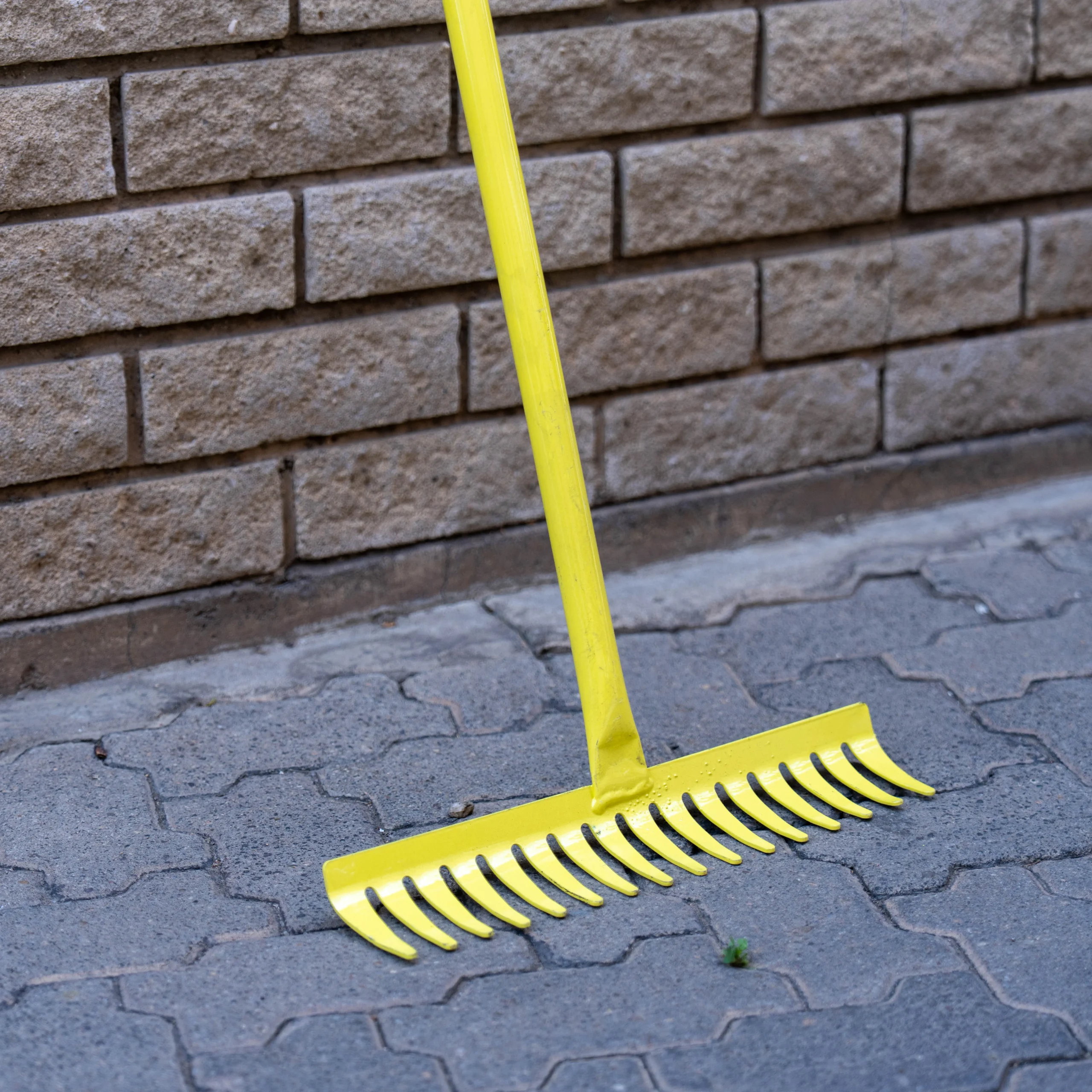 RAKES