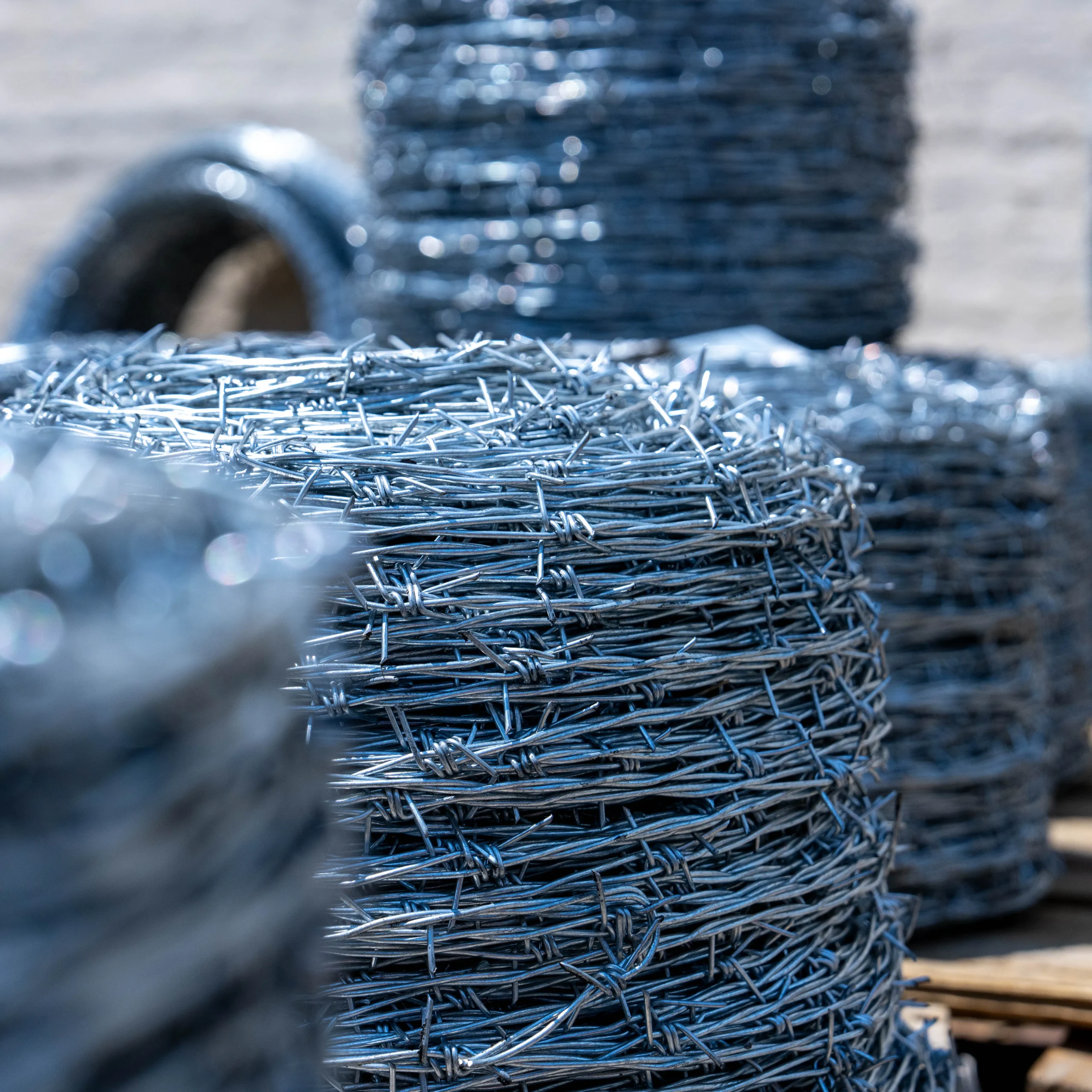 Barbed Wire